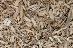 biomass boilers Galdanagh